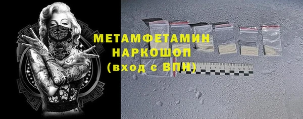 индика Сосновка