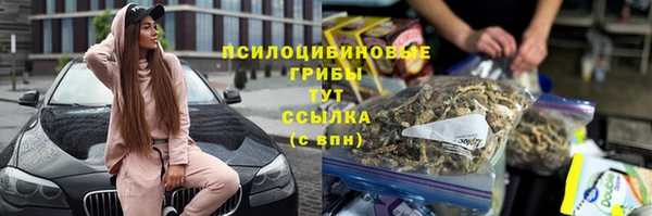 дурь Сосновый Бор
