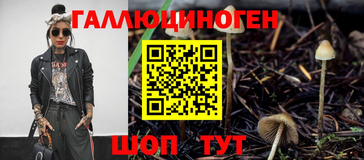 Киржач  Галлюциногенные грибы мицелий  где купить наркоту  Вход с VPN  Галлюциногенные грибы MAGIC MUSHROOMS 